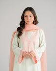 3 Piece Embroidered Raw Silk Suit Pret SS - 26