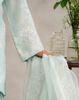 Luxury raw silk ready to wear ladies suits in Pakistan with hand-embellished details