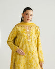 3 Piece Printed Lawn Suit