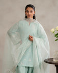 Pastel green raw silk suit with embroidery – explore raw silk suit price in Pakistan